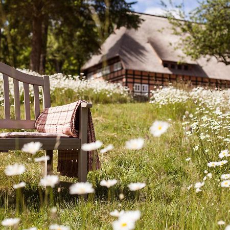 Park Am See X Nattika Ayurveda, Hotel Health Spirit Penzlin エクステリア 写真
