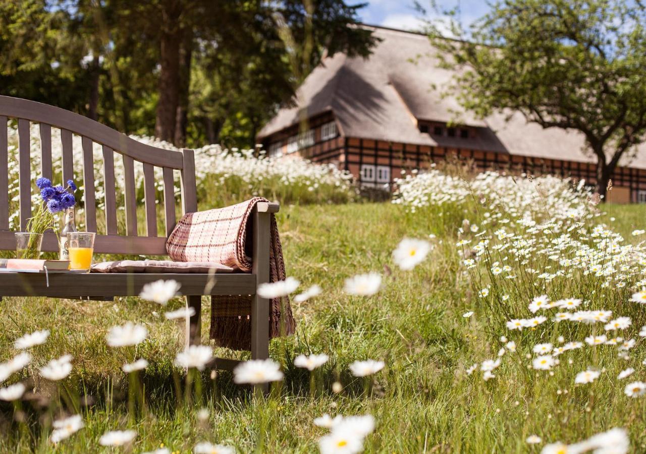 Park Am See X Nattika Ayurveda, Hotel Health Spirit Penzlin エクステリア 写真