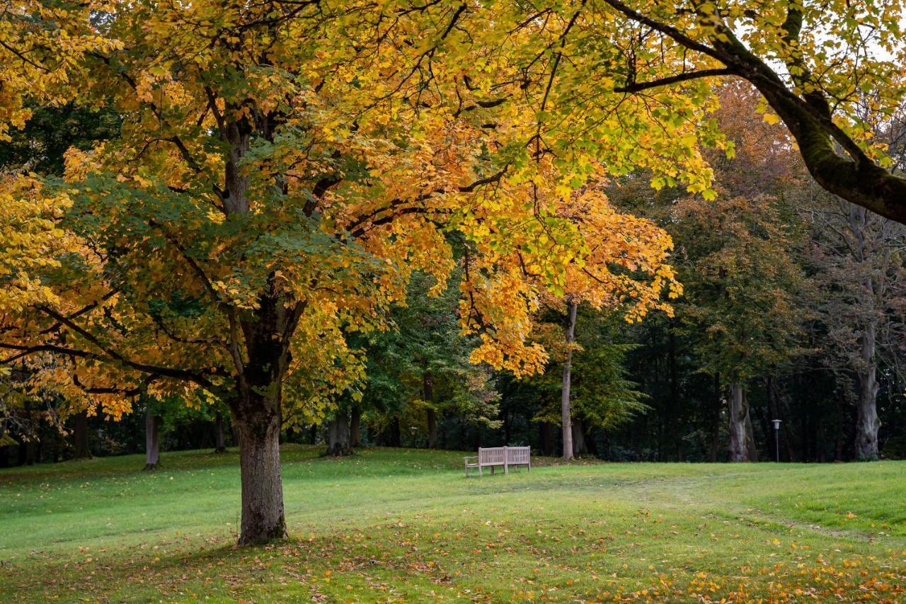Park Am See X Nattika Ayurveda, Hotel Health Spirit Penzlin エクステリア 写真